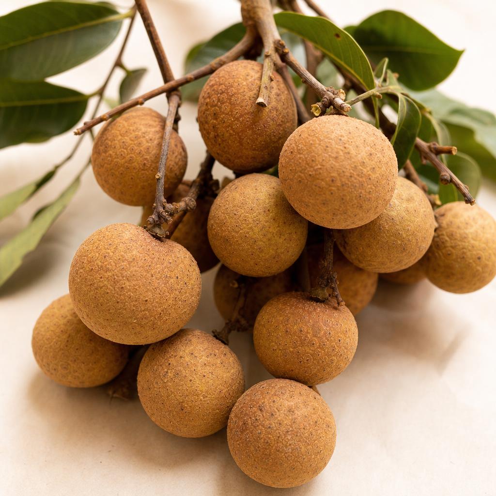 Longan
